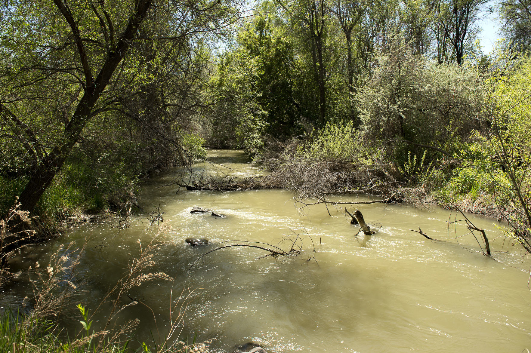 Rock Creek and its many uses